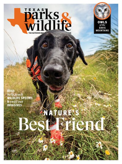 Cover for August September 2025 issue depicting a working conservation dog with orange vest and booties walking across a wildflower grassy field