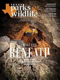 Cover December 2022 Person walking through a cave with the title What Lies Beneath.