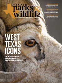 Cover January 2021 Close up on a bighorn sheep with the title Texas Icons