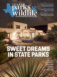Cover July 2021 Title Sweet Dreams at a State Park - image of a accomodations with lights on.
