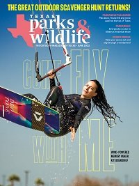 Cover June 2022 Come Fly With Me. - Person holding the handle of a kite while kite surfing.