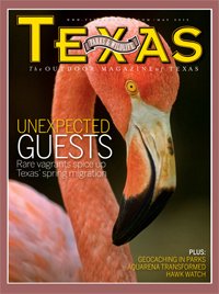 Cover May 2013 - Close up of a pink flamingo - Title: Unexpected Guests