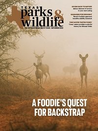 Cover November 2021 - Title A Foodies Quest for Backstrap - image deer in a foggy field.