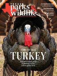 Cover November 2022 - Title Time to talk turkey - Image Close up on a turkey.