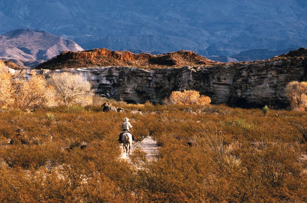 Cowboy Doug Davis on horse back riding the the brush and dry cottonwoods