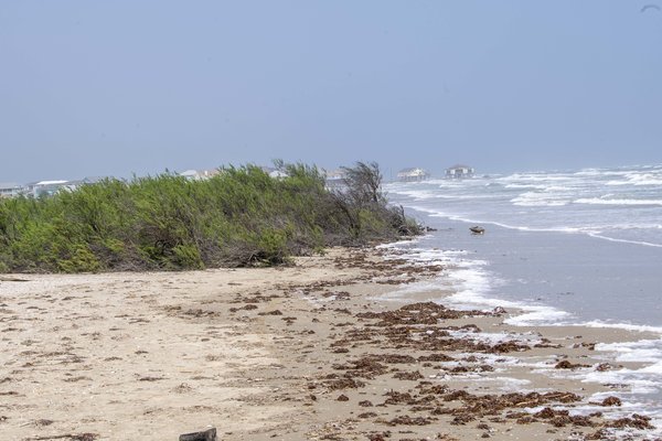 Sandy shore of the Gulf coast  with a grassy patch