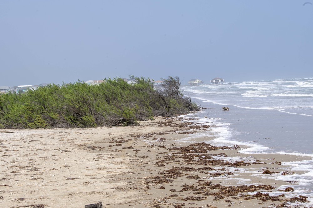 Sandy shore of the Gulf coast  with a grassy patch