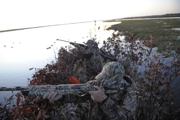 Duck Hunting in the brush by a waterway