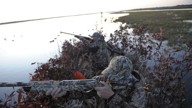 Duck Hunting in the brush by a waterway