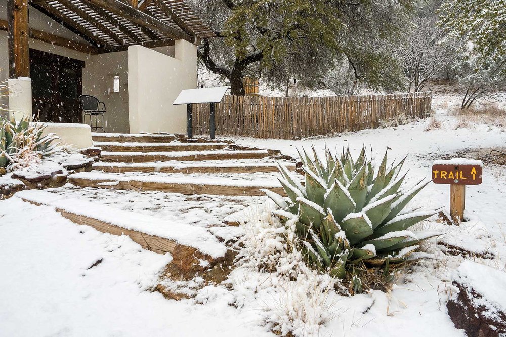 Davis-Mtns-Park-Bird-Blind-in-Snow