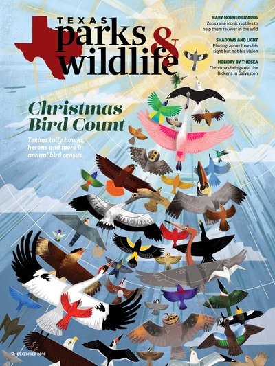 December 2018 Cover "Christmas Bird Count" with illustration of birds flying up towards the sun forming the shape of a Christmas tree