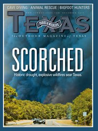 December 2011 Cover - Thick black smoke covering the sky behind trees on a road. Title: Scorched