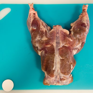 Nutria being prepped for dinner.