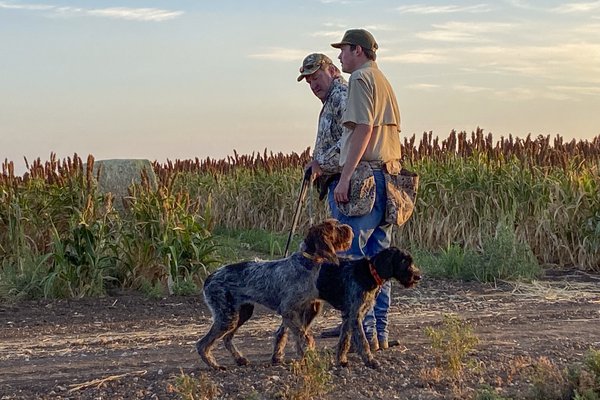 Two men and dogs getting ready to Dove Hunt