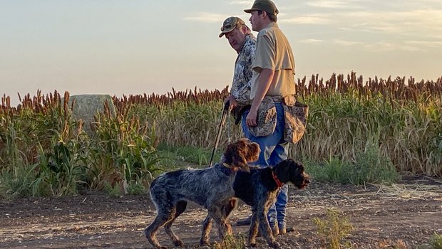 Two men and dogs getting ready to Dove Hunt