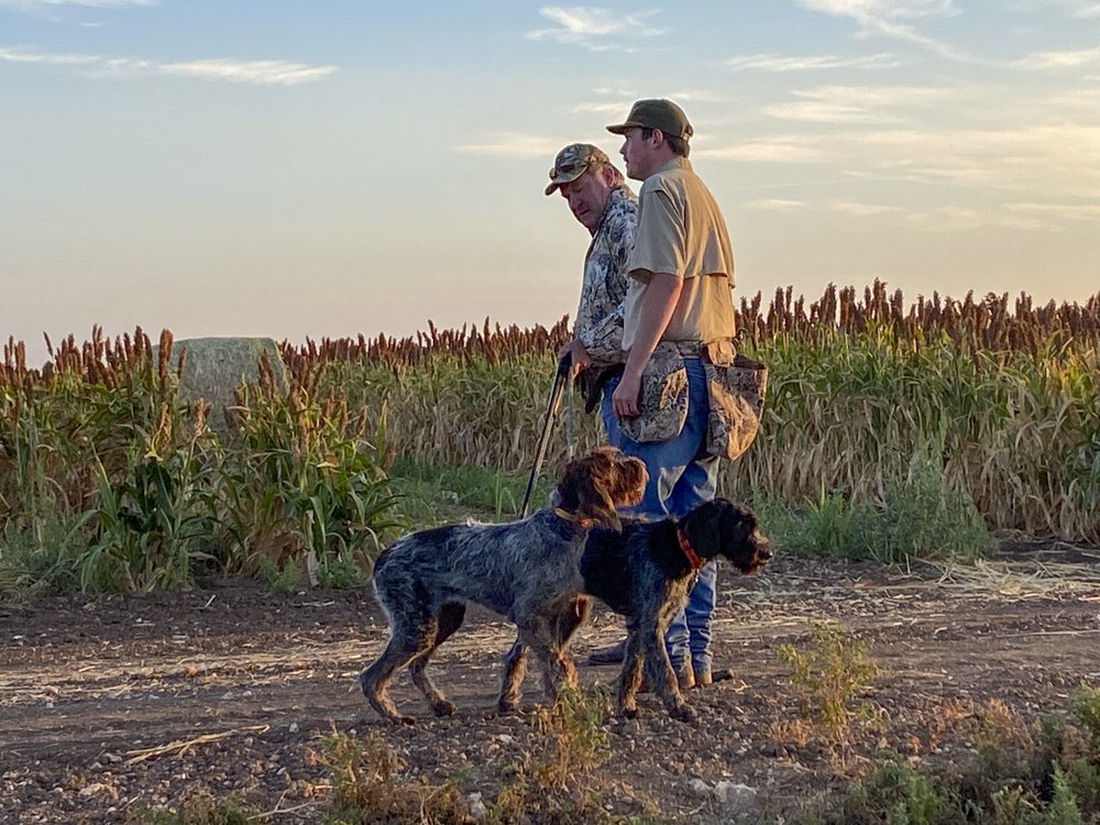 Two men and dogs getting ready to Dove Hunt