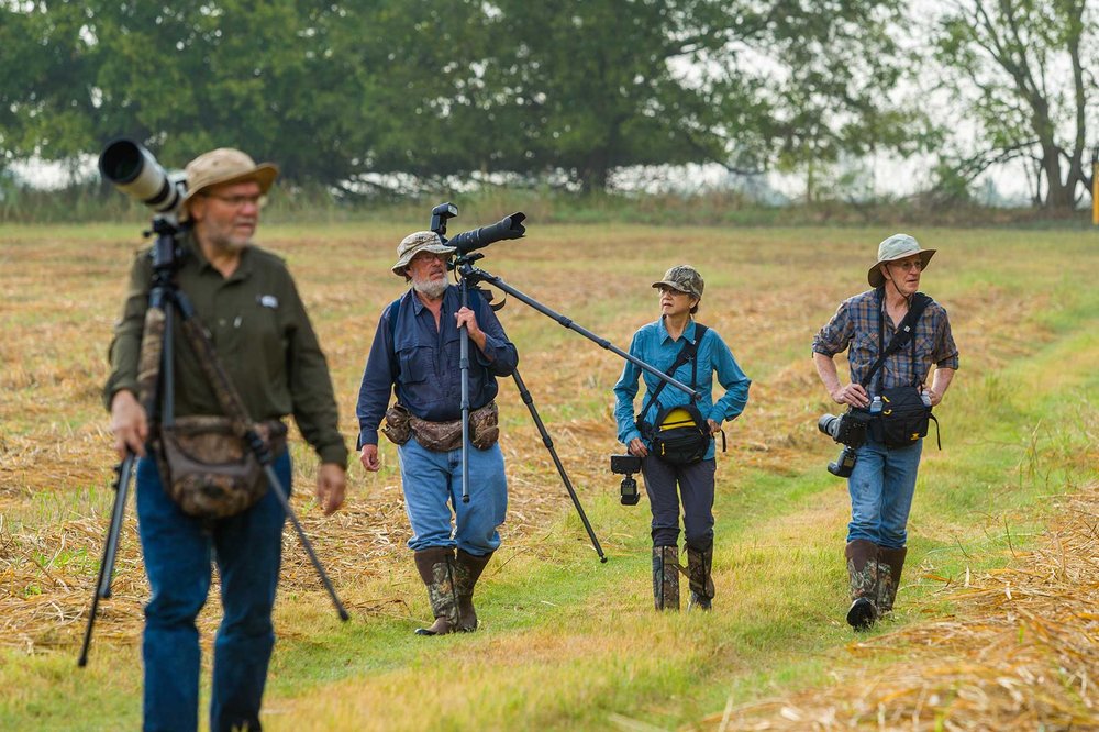 4 photographers walking with gear for Dragonfly hunting.