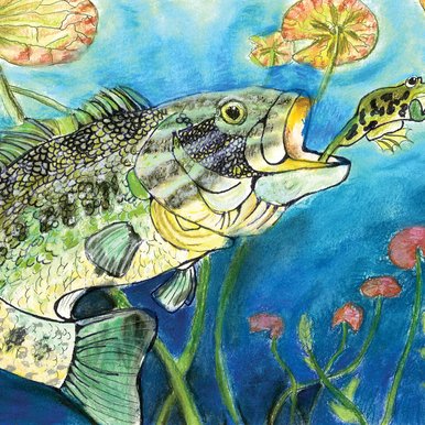 Drawing of a fishing chasing a frog.