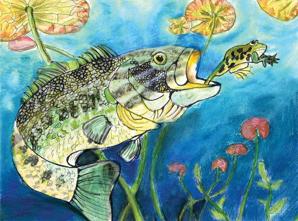 Drawing of a fishing chasing a frog.