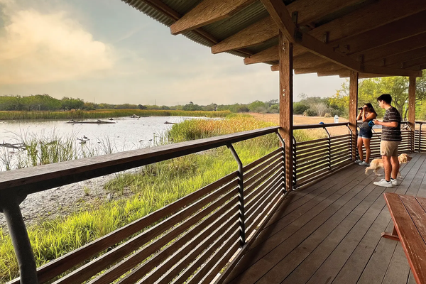 People and a dog at an overlook to view wild life at Estero Llano Grande State Park