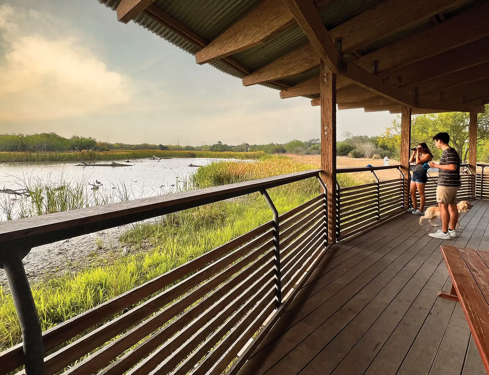 People and a dog at an overlook to view wild life at Estero Llano Grande State Park