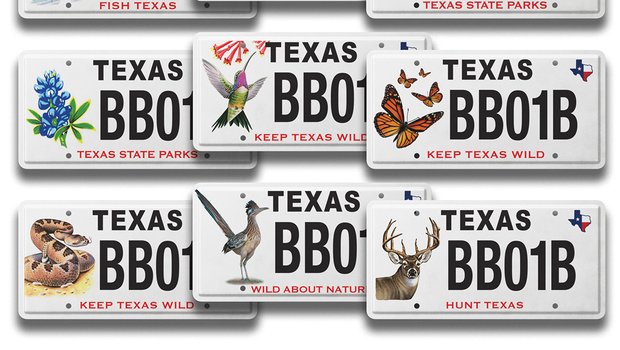 Eleven Texas Conservation Licence Plates supporting Texas Parks and Wildlife programs