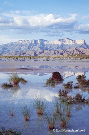 Shallow Water Flats at Guadalupe Mountains National Park