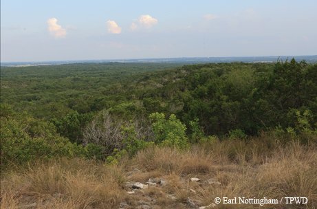 Government Canyon view of rolling hills