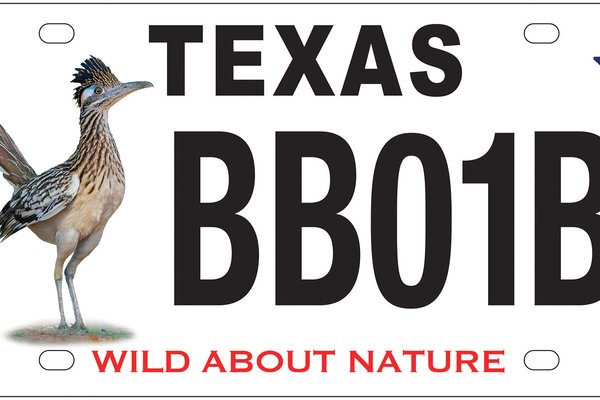 Greater roadrunner license plate.