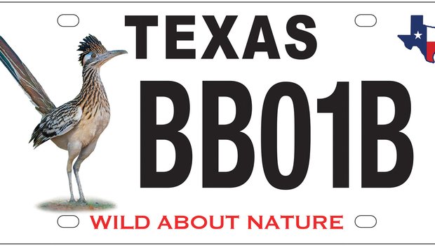 Greater roadrunner license plate.