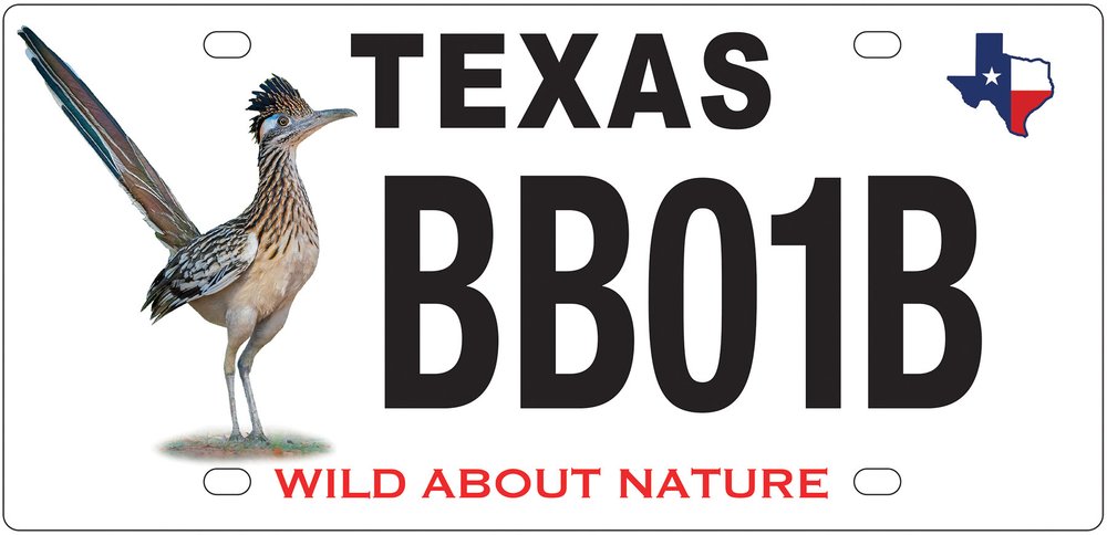 Greater roadrunner license plate.