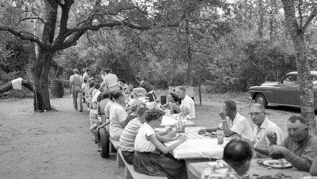Group of people at a long table having a picnic party