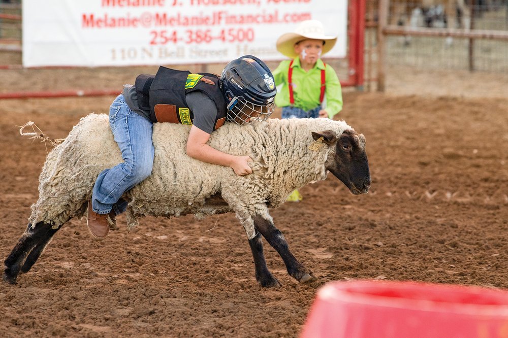 Hamilton Rodeo