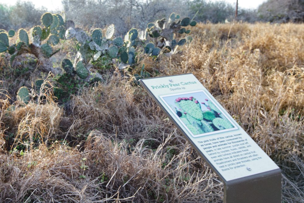 Interpetive sign at catfish point with cacti in the background