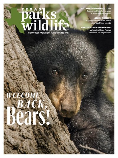 JanFeb 2025_cover