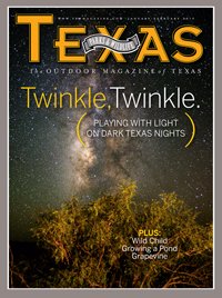 January:February 2013 Cover