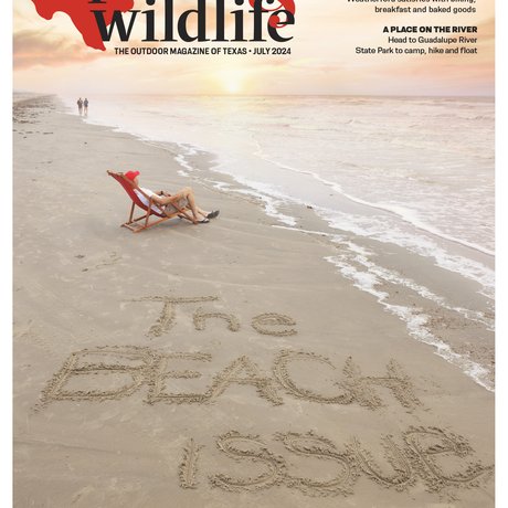 July 2024 cover of Texas Parks & Wildlife magazine, depicting a beach chair and the words 'The Beach Issue' written on the sand