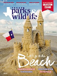 June 2016 Cover - Sandcastle on the beach with a Texas flag - Title: Let's go to the beach