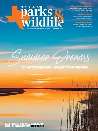 June 2020 Cover