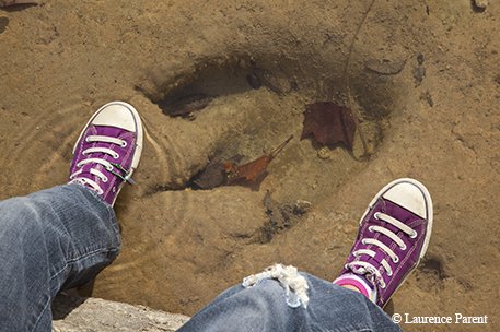Kid comparing their foot to a dinasaur print in shallow water at Dinosaur Valley SP