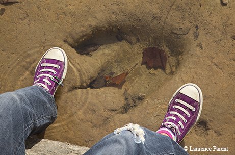 Kid comparing their foot to a dinasaur print in shallow water at Dinosaur Valley SP