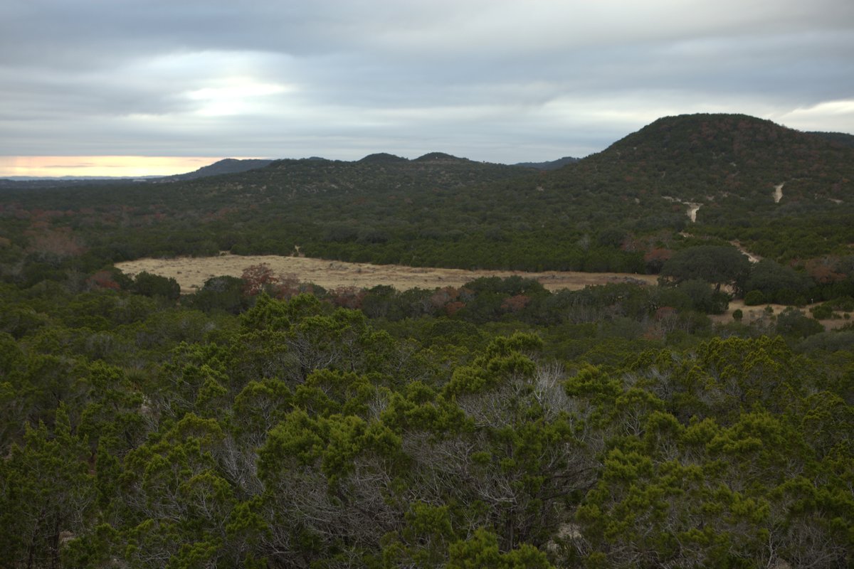 Kronkosky State Natural Area with a hill in the background an a river running through a field of trees