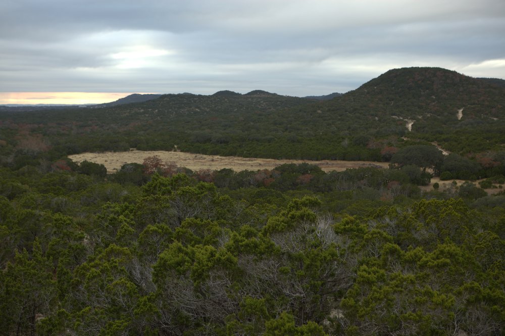 Kronkosky State Natural Area with a hill in the background an a river running through a field of trees