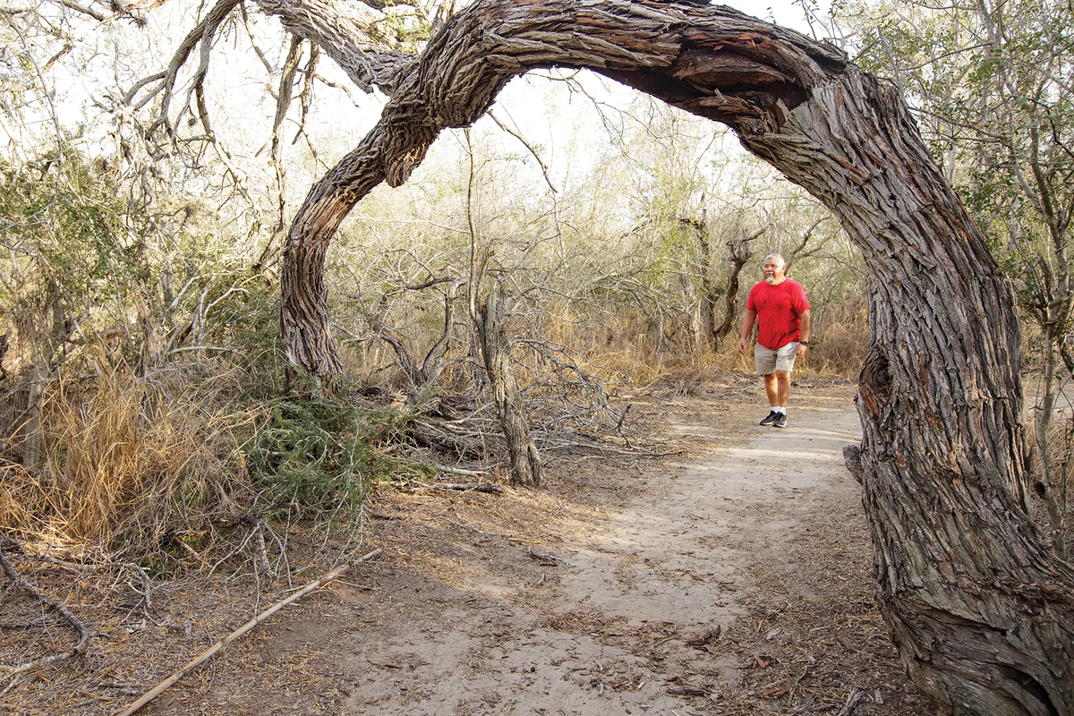 Man in red shirt walking towards an arched tree that covers the trail at Lake Corpus Christi’s Catfish Point Trail