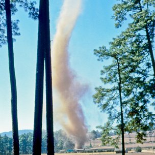 Dust Devil seen between trees near structures in the distance