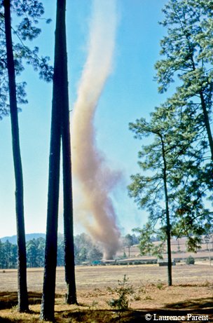 Dust Devil seen between trees near structures in the distance
