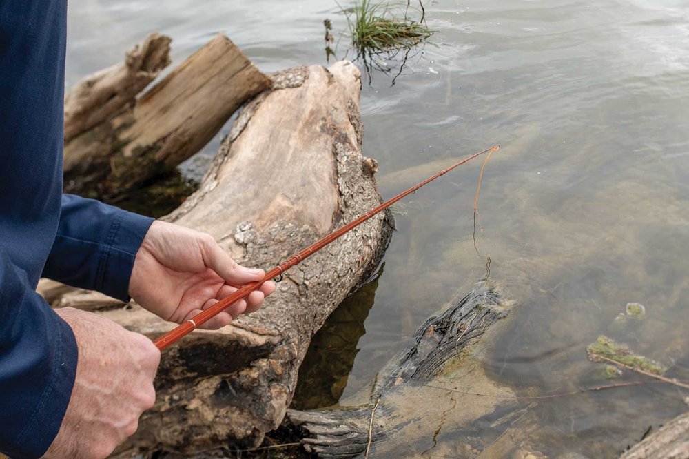 Man fishing in the tree roots.