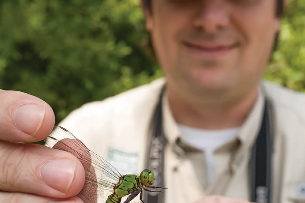 Man holding a dragonfly