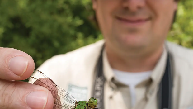 Man holding a dragonfly