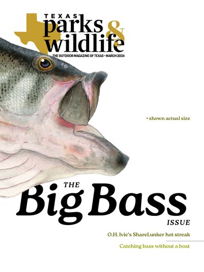 March 2024 Big Bass Cover